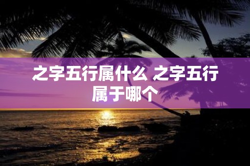 之字五行属什么 之字五行属于哪个