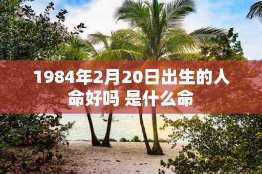1984年2月20日出生的人命好吗 是什么命