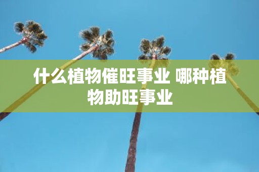 什么植物催旺事业 哪种植物助旺事业