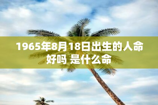 1965年8月18日出生的人命好吗 是什么命