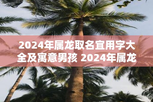 2025年属龙取名宜用字大全及寓意男孩 2025年属龙男孩怎么取名好