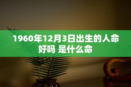 1960年12月3日出生的人命好吗 是什么命