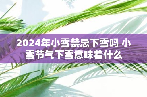 2025年小雪禁忌下雪吗 小雪节气下雪意味着什么