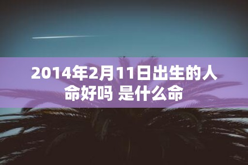 2014年2月11日出生的人命好吗 是什么命