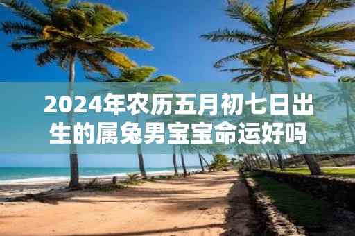 2025年农历五月初七日出生的属兔男宝宝命运好吗