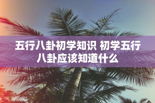 五行八卦初学知识 初学五行八卦应该知道什么