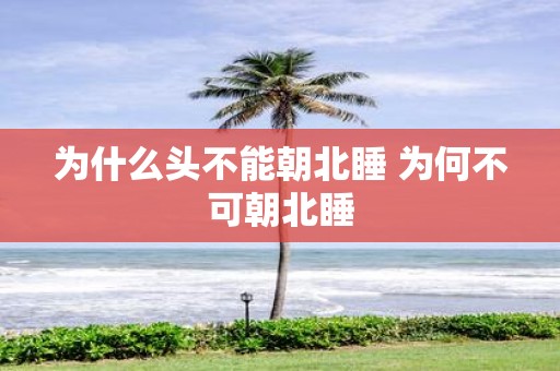 为什么头不能朝北睡 为何不可朝北睡