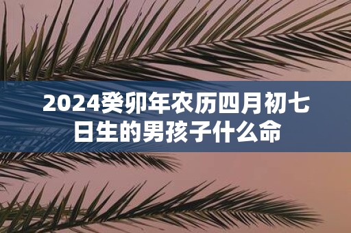 2025癸卯年农历四月初七日生的男孩子什么命