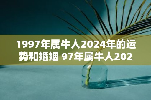 1997年属牛人2025年的运势和婚姻 97年属牛人2025年综合运势如何