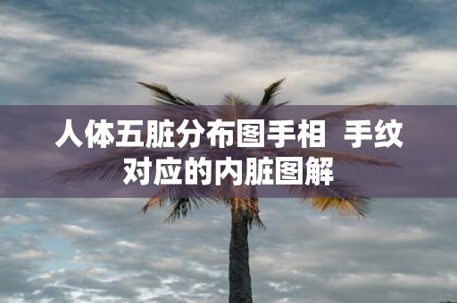 人体五脏分布图手相 手纹对应的内脏图解