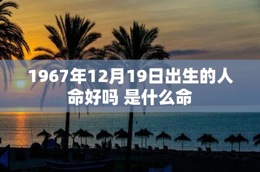 1967年12月19日出生的人命好吗 是什么命