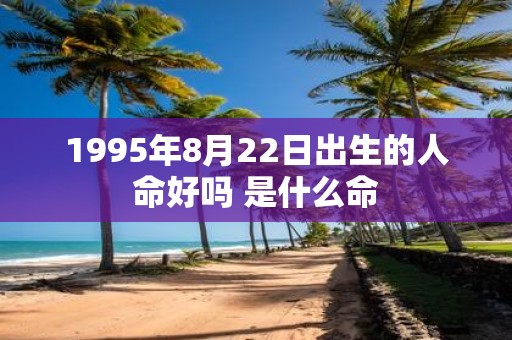 1995年8月22日出生的人命好吗 是什么命