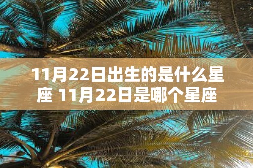 11月22日出生的是什么星座 11月22日是哪个星座