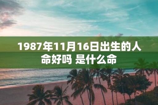 1987年11月16日出生的人命好吗 是什么命