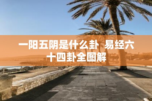 一阳五阴是什么卦 易经六十四卦全图解