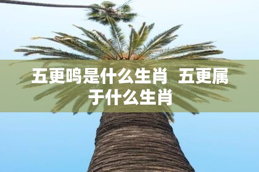 五更鸣是什么生肖 五更属于什么生肖