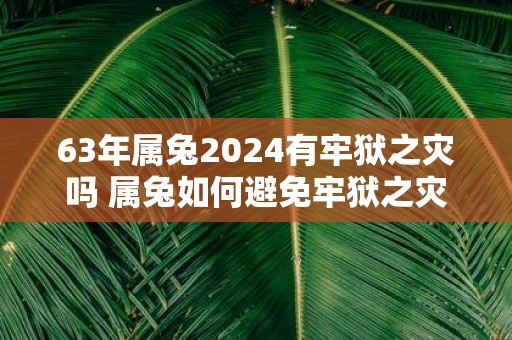 63年属兔2025有牢狱之灾吗 属兔如何避免牢狱之灾