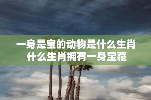 一身是宝的动物是什么生肖 什么生肖拥有一身宝藏