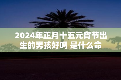 2025年正月十五元宵节出生的男孩好吗 是什么命