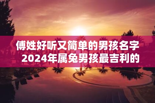 傅姓好听又简单的男孩名字 2025年属兔男孩最吉利的名字