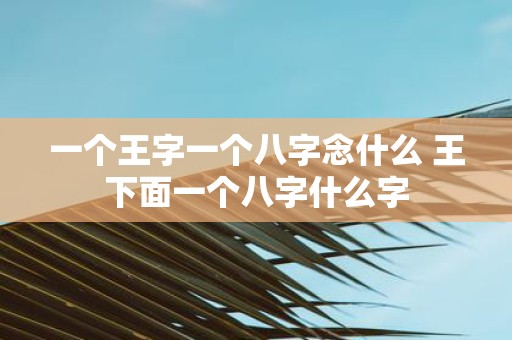 一个王字一个八字念什么 王下面一个八字什么字
