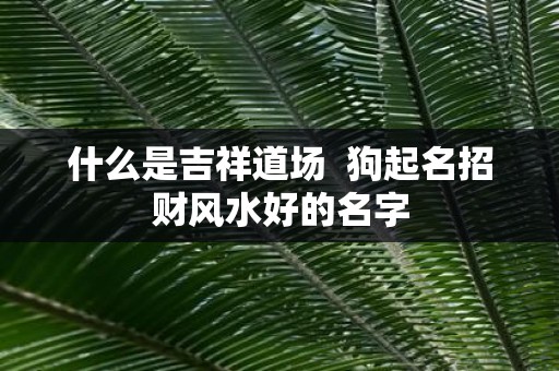 什么是吉祥道场 狗起名招财风水好的名字