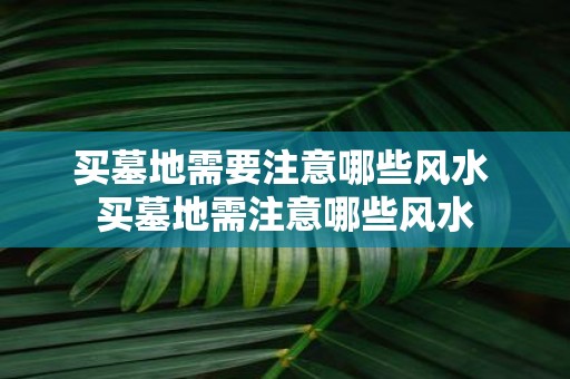 买墓地需要注意哪些风水 买墓地需注意哪些风水