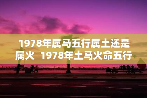 1978年属马五行属土还是属火 1978年土马火命五行缺啥