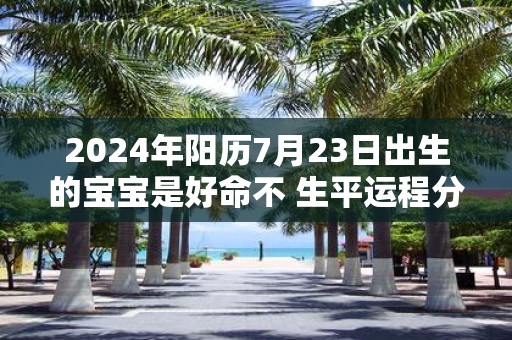 2025年阳历7月23日出生的宝宝是好命不 生平运程分析