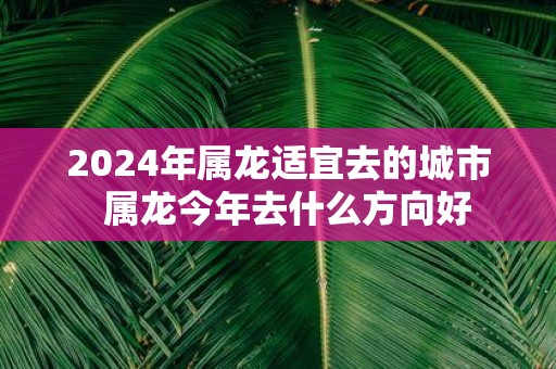 2025年属龙适宜去的城市 属龙今年去什么方向好