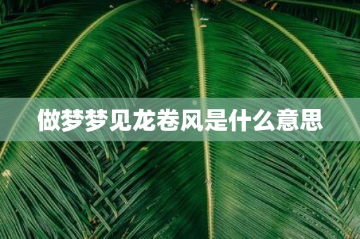 做梦梦见龙卷风是什么意思
