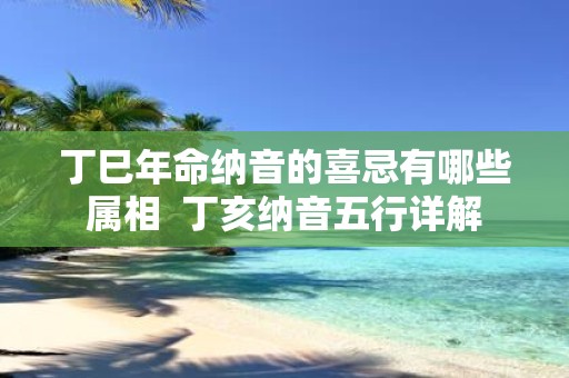 丁巳年命纳音的喜忌有哪些属相 丁亥纳音五行详解