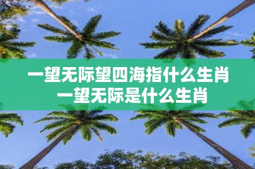 一望无际望四海指什么生肖 一望无际是什么生肖