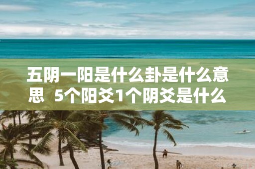 五阴一阳是什么卦是什么意思 5个阳爻1个阴爻是什么卦