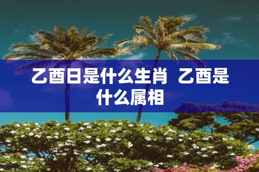 乙酉日是什么生肖 乙酉是什么属相