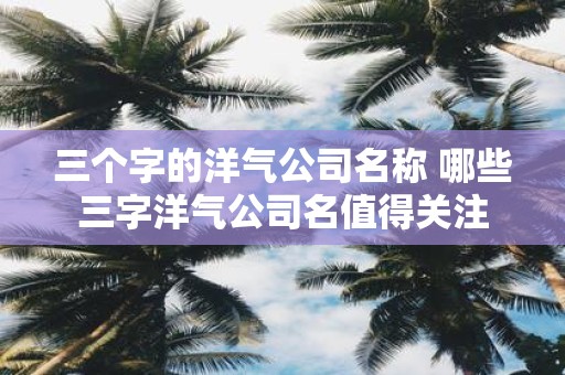 三个字的洋气公司名称 哪些三字洋气公司名值得关注