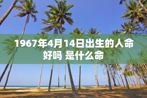 1967年4月14日出生的人命好吗 是什么命
