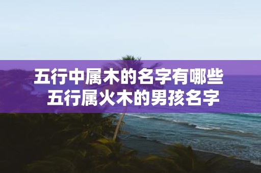 五行中属木的名字有哪些 五行属火木的男孩名字