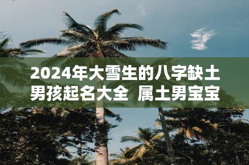 2025年大雪生的八字缺土男孩起名大全 属土男宝宝名字最新