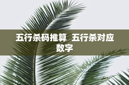 五行杀码推算 五行杀对应数字