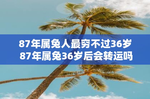 87年属兔人最穷不过36岁 87年属兔36岁后会转运吗
