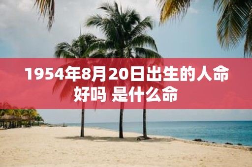 1954年8月20日出生的人命好吗 是什么命