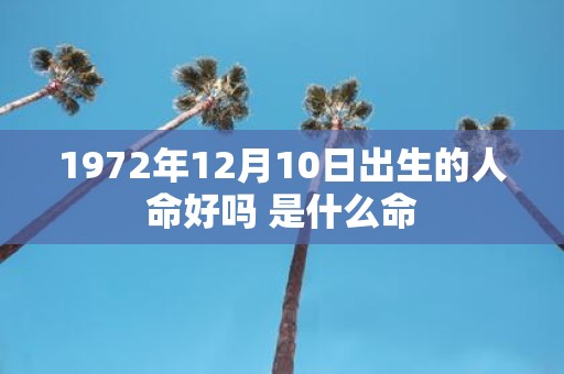 1972年12月10日出生的人命好吗 是什么命