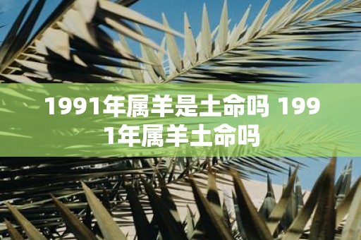 1991年属羊是土命吗 1991年属羊土命吗