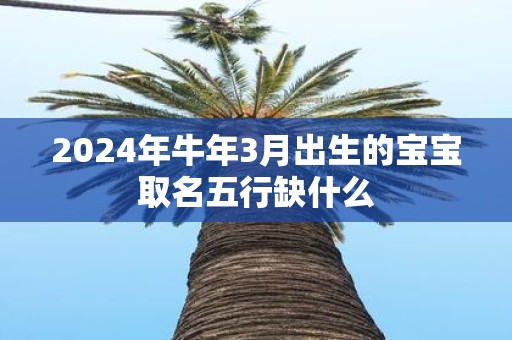 2025年牛年3月出生的宝宝取名五行缺什么