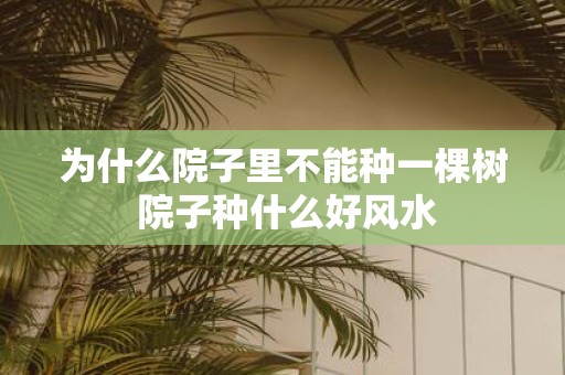 为什么院子里不能种一棵树 院子种什么好风水