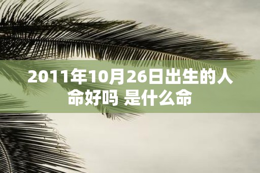 2011年10月26日出生的人命好吗 是什么命