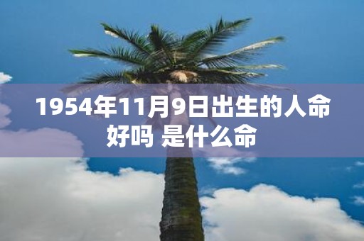 1954年11月9日出生的人命好吗 是什么命