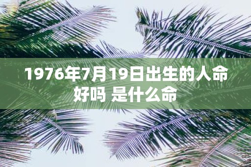 1976年7月19日出生的人命好吗 是什么命