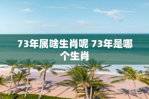 73年属啥生肖呢 73年是哪个生肖